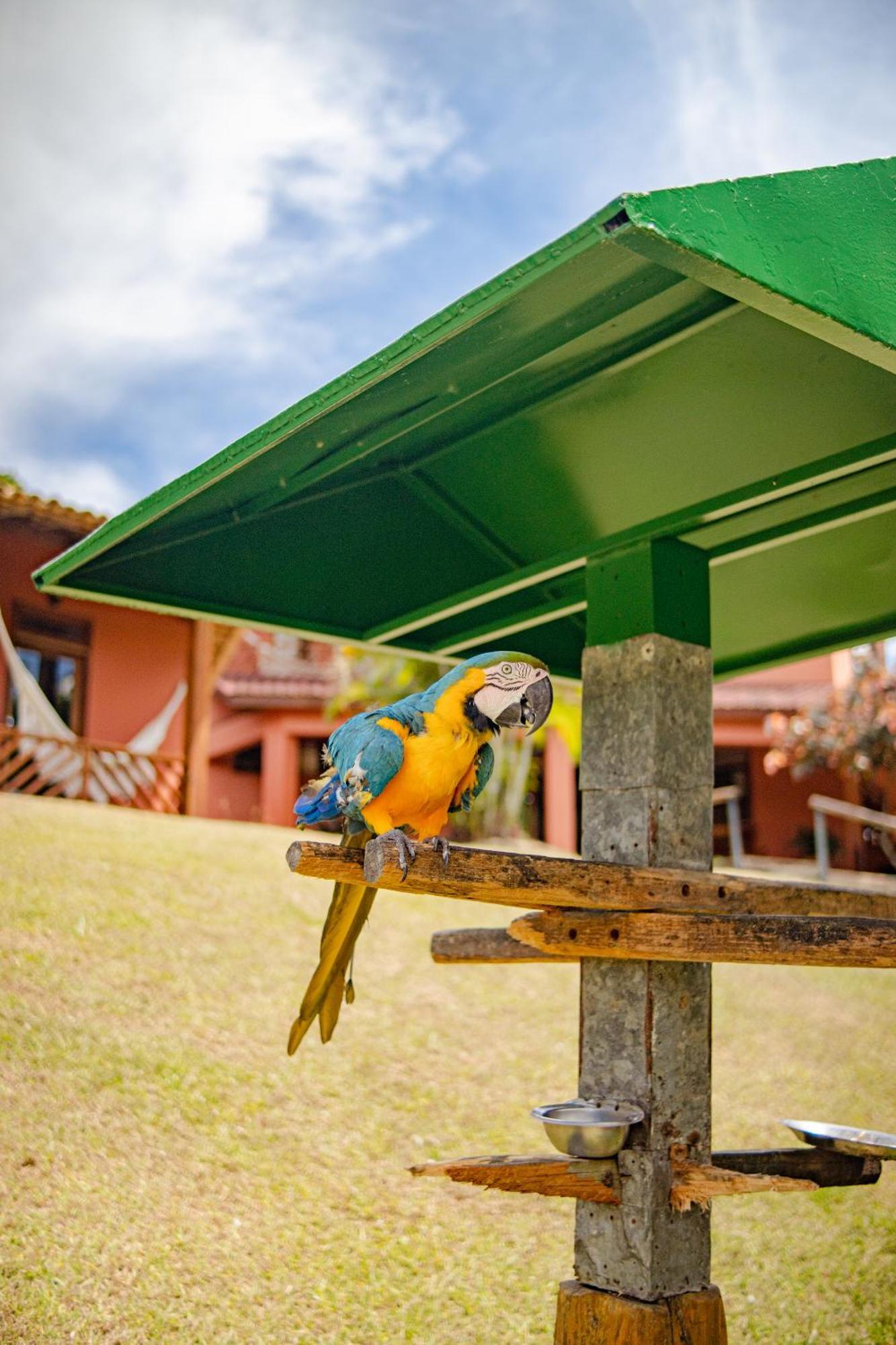Hotel Vale Do Jiquiriçá Екстериор снимка