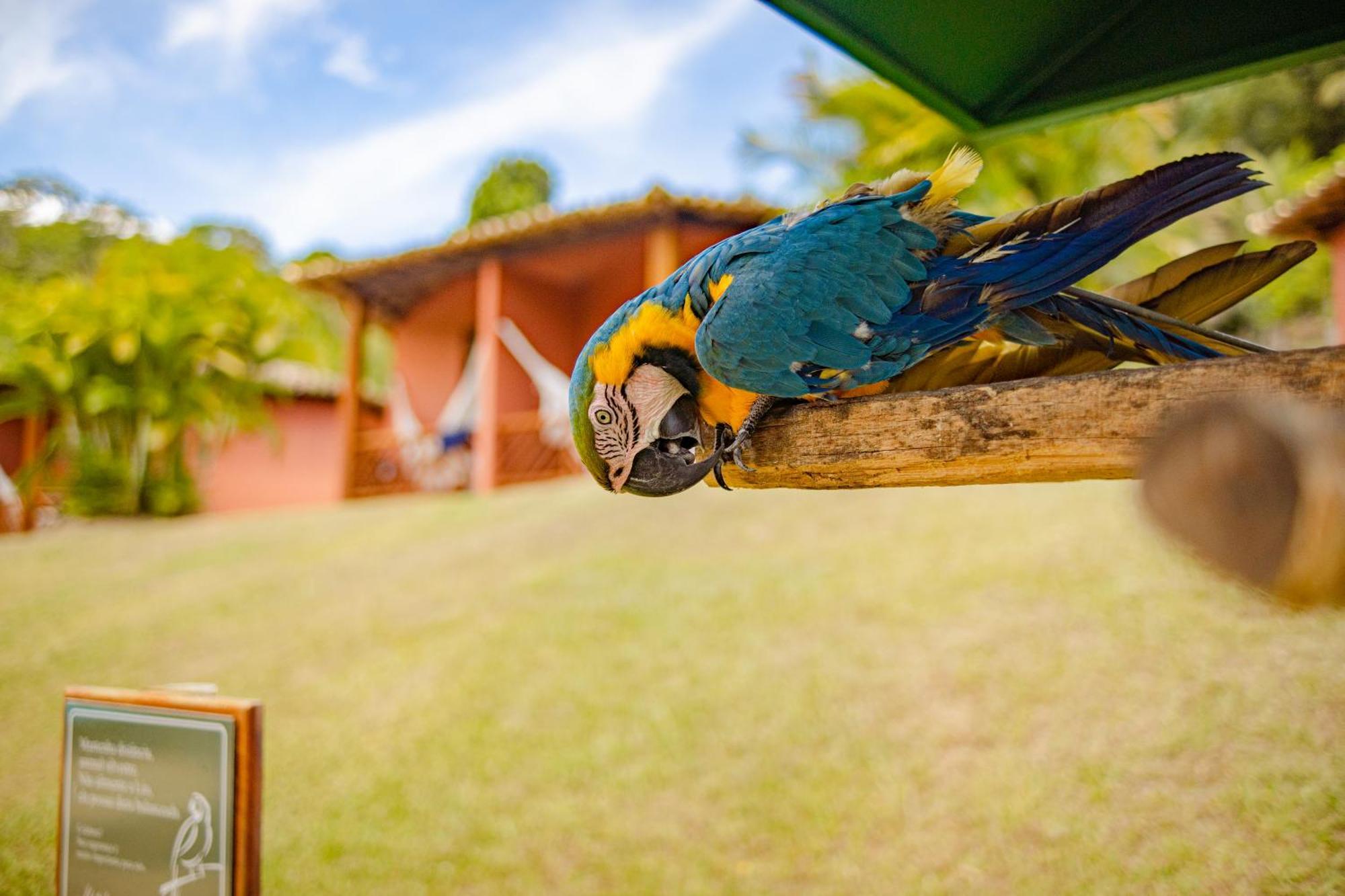 Hotel Vale Do Jiquiriçá Екстериор снимка