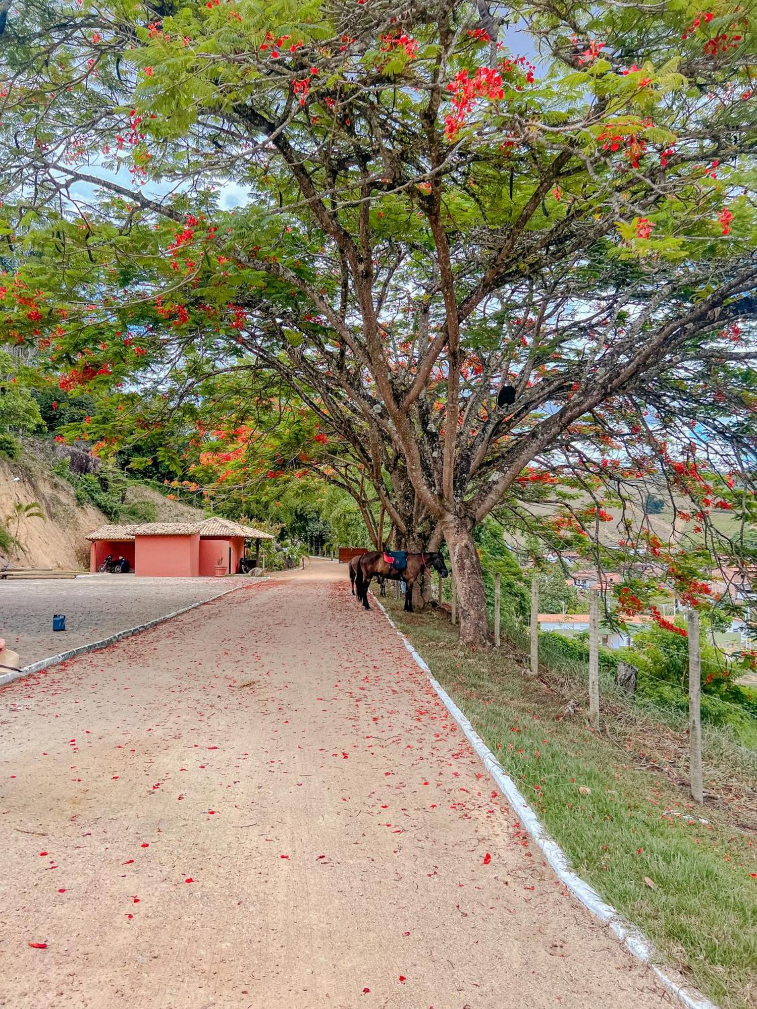 Hotel Vale Do Jiquiriçá Екстериор снимка